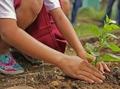 Eco-Friendly Approaches Interior Design Conserve Energy