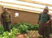 Greenhouses: Ultimate Solar Energy Technology