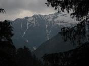 DAILY PHOTO: Mountains Through Trees, Sainj Valley