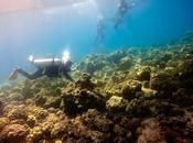 Dive Against Debris: Supporting Call Clean, Healthy Ocean