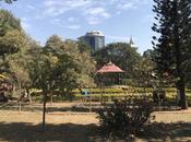 Scenes from Cubbon Park