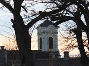 DAILY PHOTO: Trees Churchyard