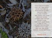 Hate Week Essay What LORD Hates