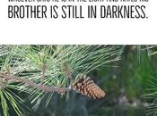 Hate Week Essay Equals Darkness