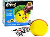 GOOD IDEA WASTE MONEY?? Chia Emoji Planter
