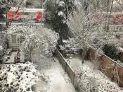 Nightly #London #Photoblog 23:02:18: Flurry Snow December