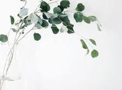 Dream Decluttered Home