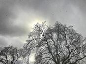 Nightly #London #Photoblog 28:02:18: Fighting