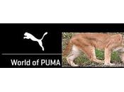 Poverty Hunger Crisis Venezuela Puma