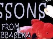 Promo Tour: Lessons from Wabbaseka Liza O'Connor