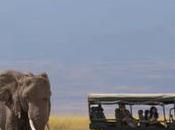 Kenya Tanzania: Which Wilderness Safari You?