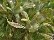 Spring Cleaning Begins