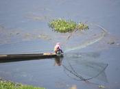 DAILY PHOTO: Fisherman Loktak Lake