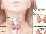 Thyroidectomy Surgery India Proving Beneficial Innumerable Medical Tourists