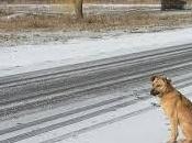 What When You're Waiting