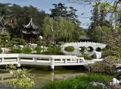 GARDEN FLOWERING FRAGRANCE: Chinese Garden Huntington, Marino,