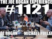 Notes Psychedelic Experience (Michael Pollan Rogan)