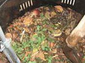 Compost..Top Ways Reduce Food Waste…