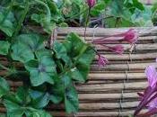 10-Year Rewind Part Backyard