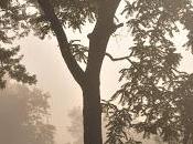 From Last Week --JCC