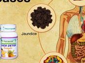 Treatment Severe Liver Diseases with Ayurveda Signs Symptoms