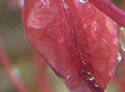 Hell's Greatest Enrichers?