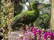 IMAGINARY WORLDS Atlanta Botanical Garden