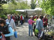 Plant Fair Crûg Farm Plants, Caernarfon