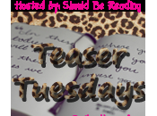 Teaser Tuesday: Veil Night