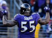 Baltimore Ravens' Star Terrell Suggs Tears Achilles'