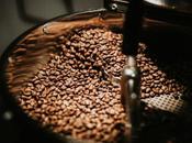 Complete Guide Buying Best Coffee Roaster