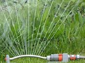 Lawn Irrigation System What Need Know