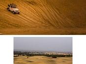 Visit Thar Desert Enjoy Memorable Camel Ride