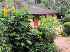 #HolidayDifferently with Sterling: Unique Experiences Sterling Wayanad