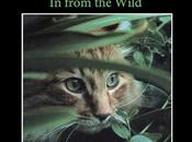 CATS: from Wild Available e-Book