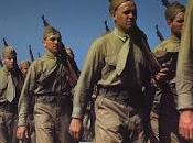 August 29th Is... (Includes Printable Freebies)