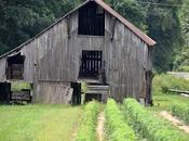 From Archives September 2013