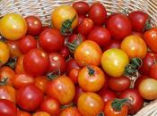 It's High Season Tomatoes Chillis