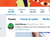 L.A. Based Marijuana Magazine Lets Domain Expire Sells $10,500