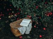 What Flowers Well Autumn Winter?