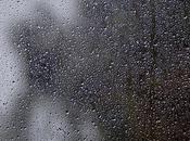 Friday Fotos: Some Varieties