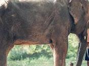 September 22nd Is... (Includes Printable Freebies)