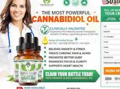 Cannabliss Review Relief Anxiety, Stress, Pains Depression