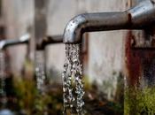 Practical Drought: Reduce Your Water Bill Through Conservation