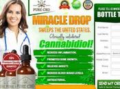 Drops Review Pure Cannabidiol Oil, Organic Miracle