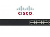 Cisco Network Switches: Perfect Equipment