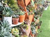 Jessy's Succulent Gardening Experience