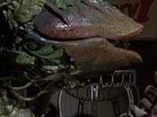Favorite Movie Halloween Edition: Little Shop Horrors