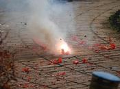 Effects Noise Pollution Humans Health Animals