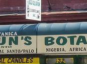 Olorun’s Botanica: Little Note Diversity Jersey City